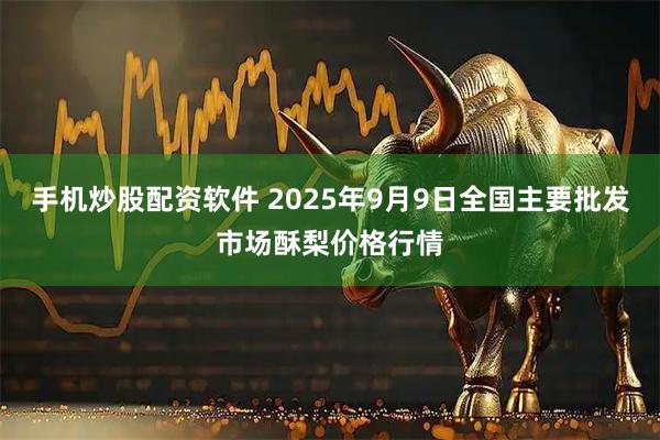 手机炒股配资软件 2025年9月9日全国主要批发市场酥梨价格行情