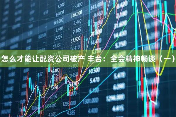 怎么才能让配资公司破产 丰台：全会精神畅谈（一）