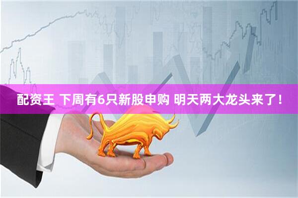 配资王 下周有6只新股申购 明天两大龙头来了！